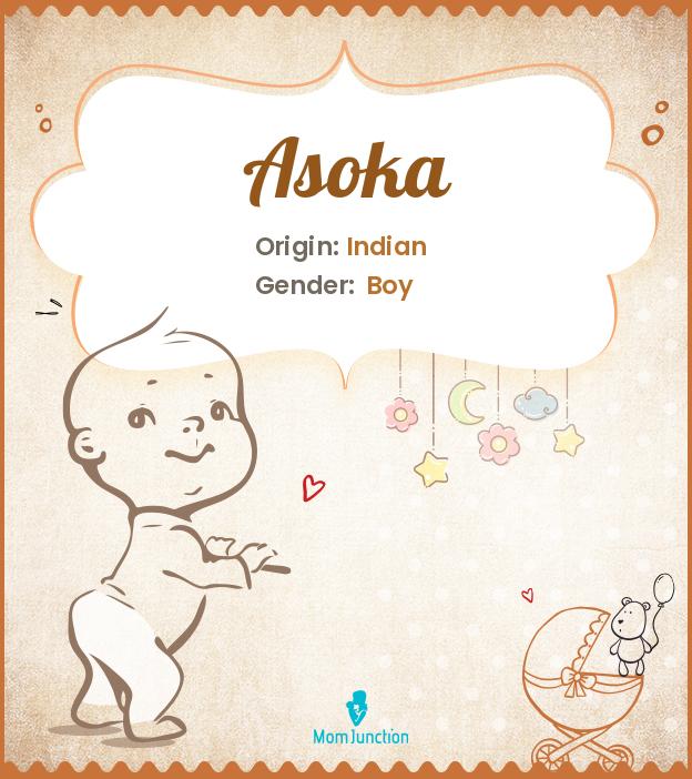 Asoka Baby Name: Meaning, Origin, Popularity_image