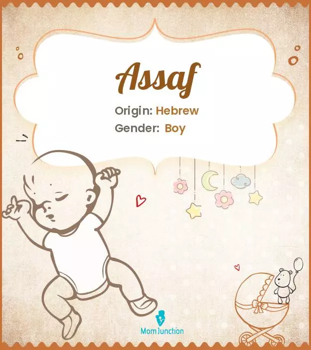 Assaf Baby Name: Meaning, Origin, Popularity_image