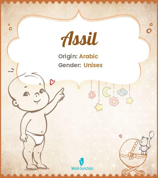 Assil Baby Name: Meaning, Origin, Popularity_image