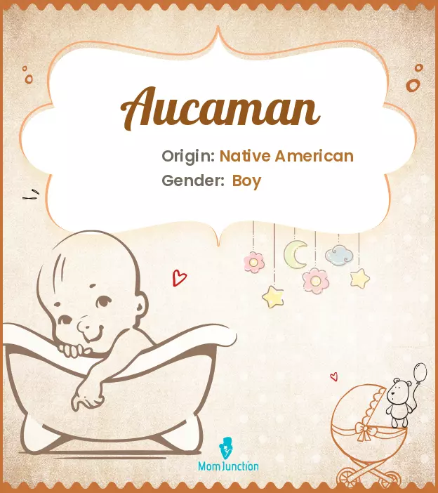 aucaman_image