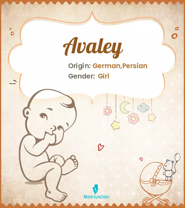 Avaley Baby Name: Meaning, Origin, Popularity_image