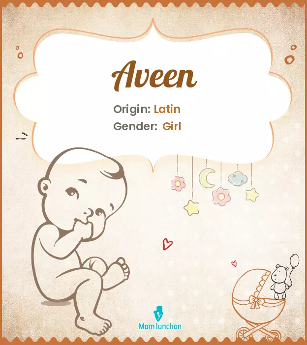 Aveen Baby Name: Meaning, Origin, Popularity_image