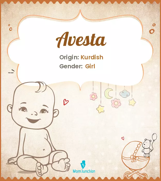 Avesta Baby Name: Meaning, Origin, Popularity_image