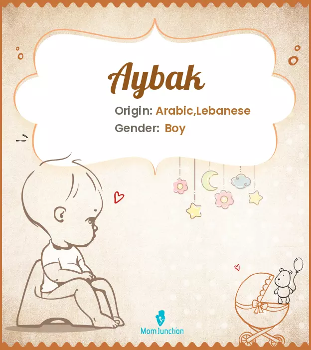 Aybak Baby Name: Meaning, Origin, Popularity_image