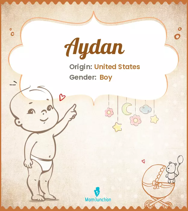 Aydan Baby Name: Meaning, Origin, Popularity_image