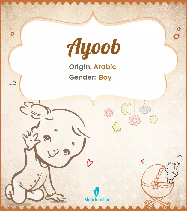 Ayoob Baby Name: Meaning, Origin, Popularity | MomJunction