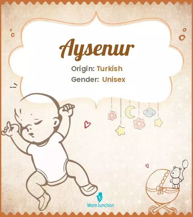 Aysenur Baby Name: Meaning, Origin, Popularity_image