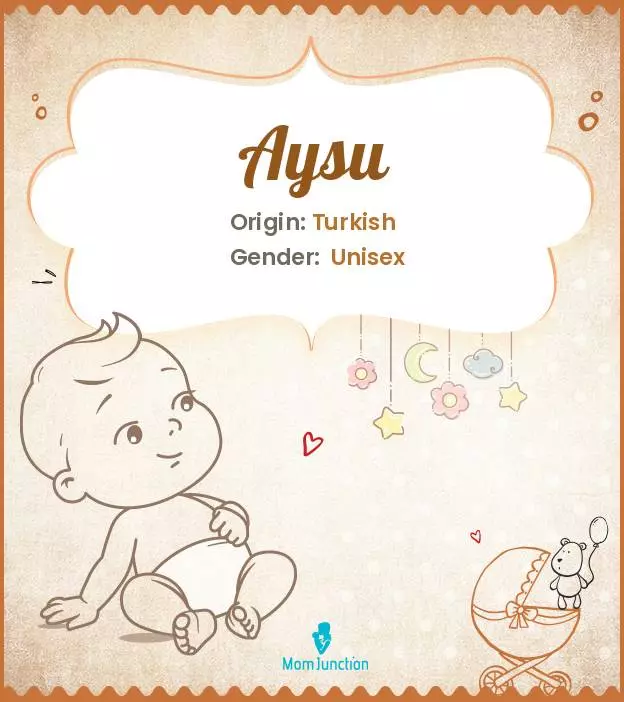 Aysu Baby Name: Meaning, Origin, Popularity_image