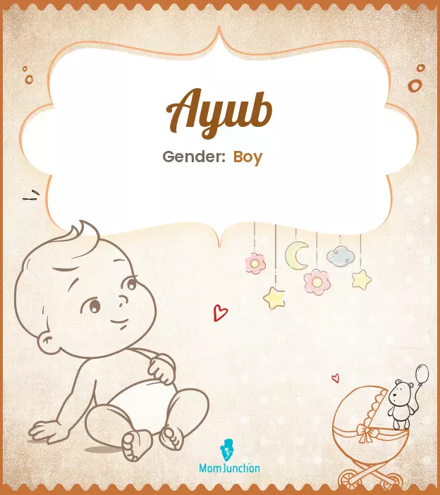 Ayub Baby Name: Meaning, Origin, Popularity | MomJunction