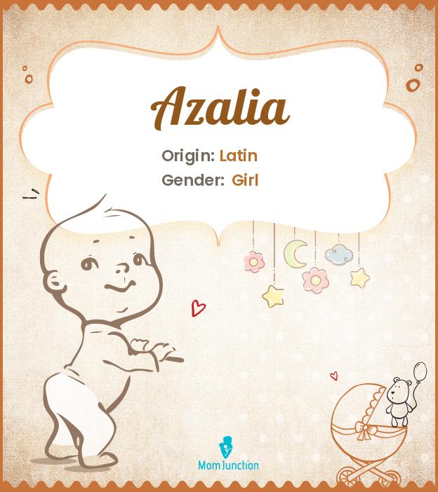 azalia azalia