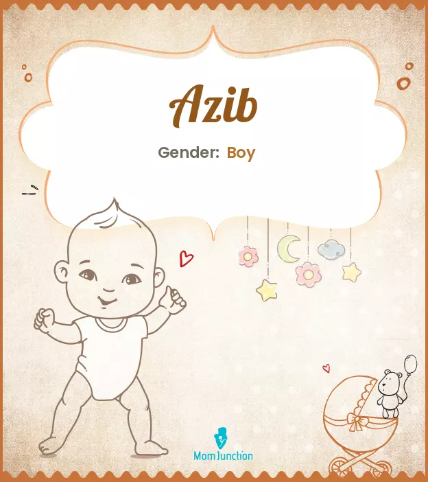 Azib Baby Name: Meaning, Origin, Popularity_image