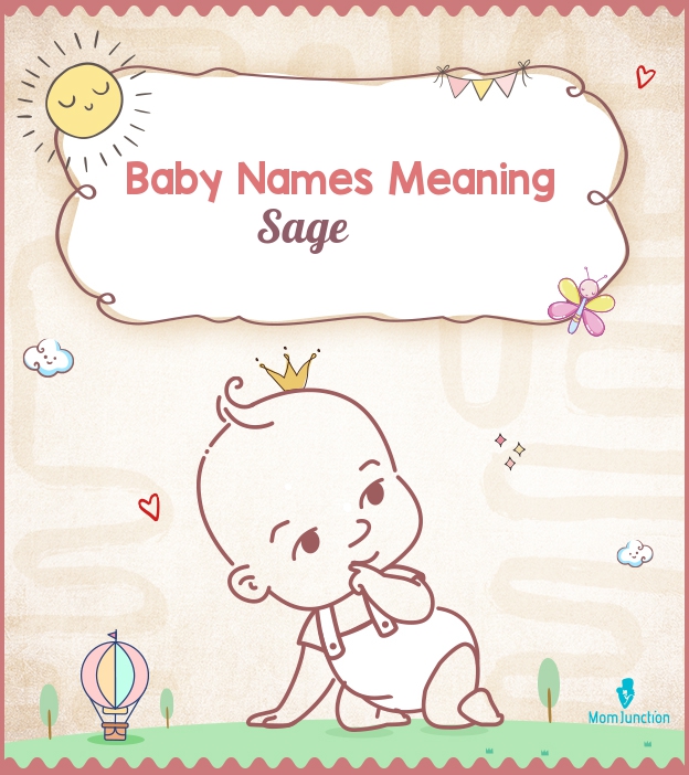 Sandsynligvis Saml op Mistillid 133 Baby Names That Mean Sage | MomJunction