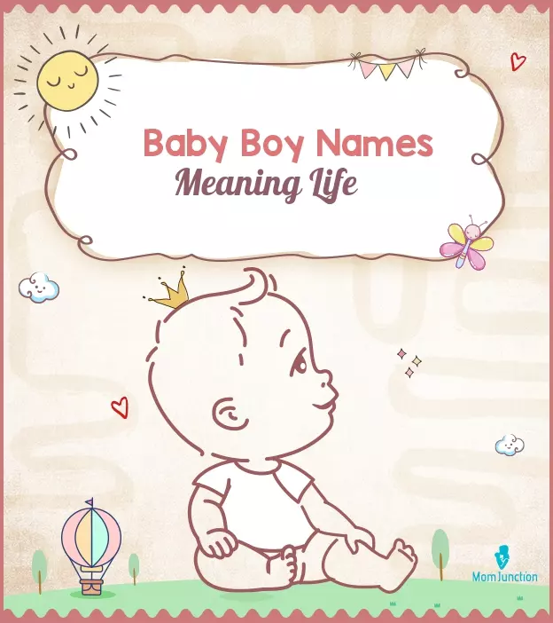 baby-boy-names-meaning-life