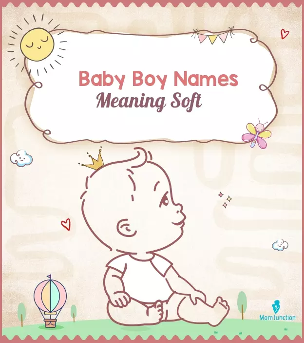 69-baby-boy-names-that-mean-soft-momjunction