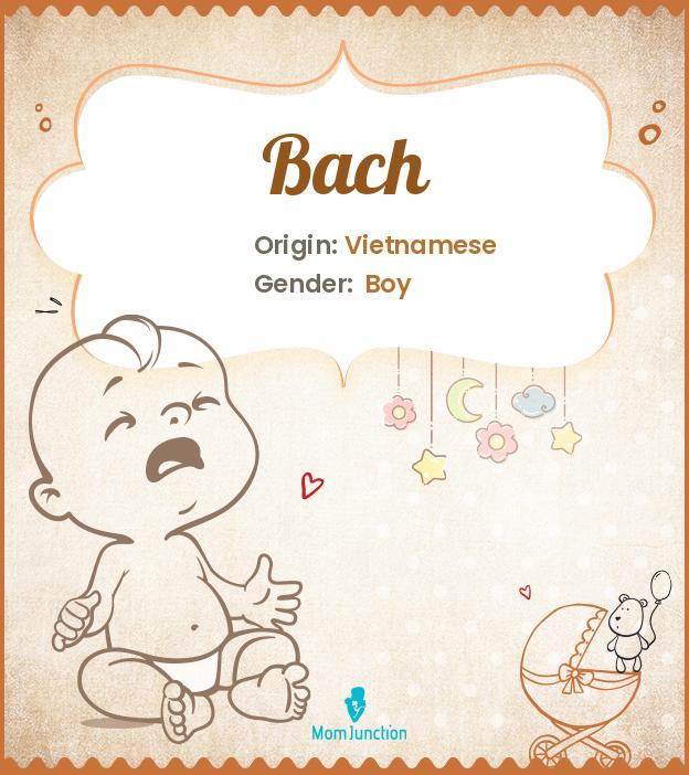 Origin, Meaning & Other Facts About Baby Name Bach_image