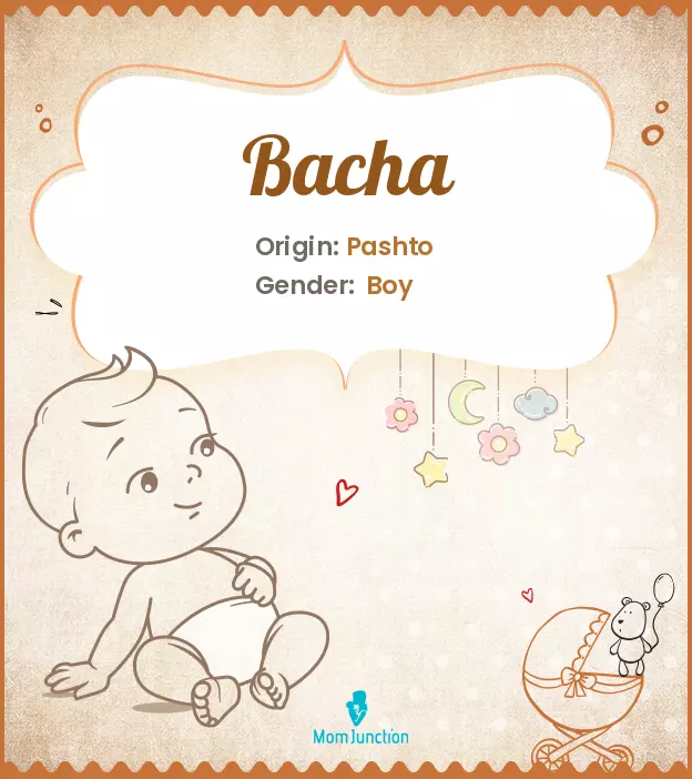 Origin, Meaning & Other Facts About Baby Name Bacha ...