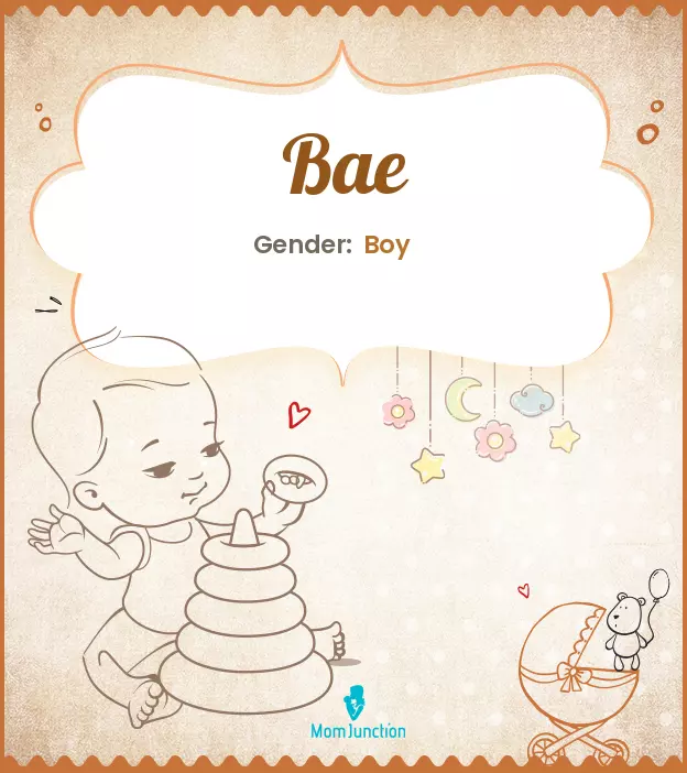 Origin, Meaning & Other Facts About Baby Name Bae | MomJunction