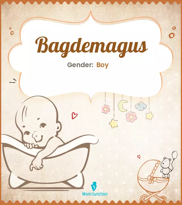 bagdemagus_image