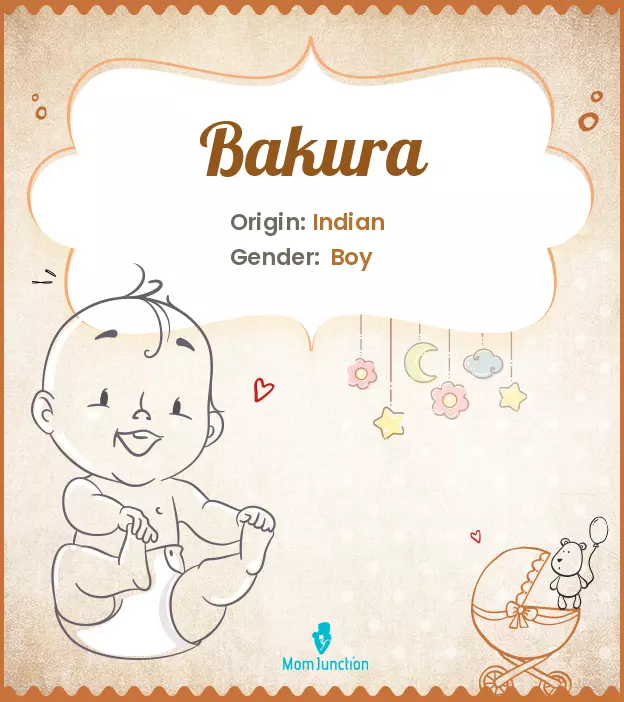 Origin, Meaning & Other Facts About Baby Name Bakura ...