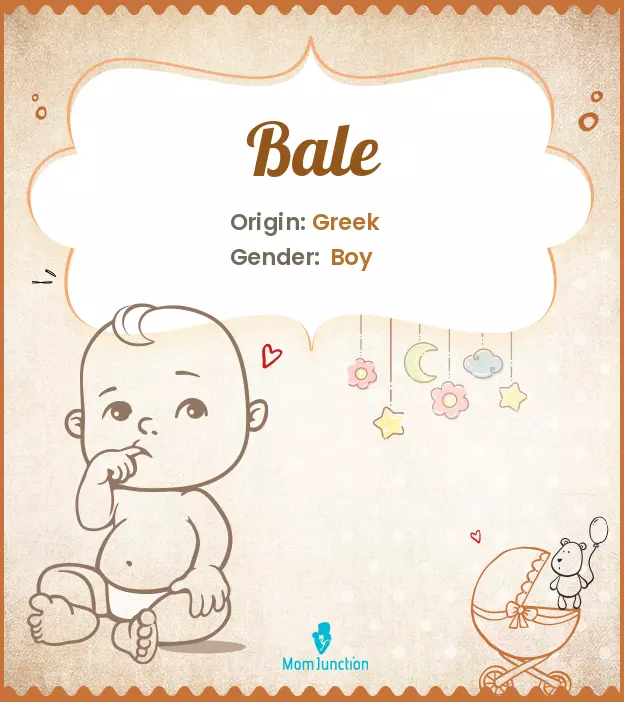 Origin, Meaning & Other Facts About Baby Name Bale_image