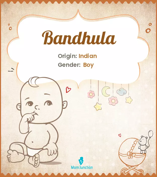 Bandhula_image