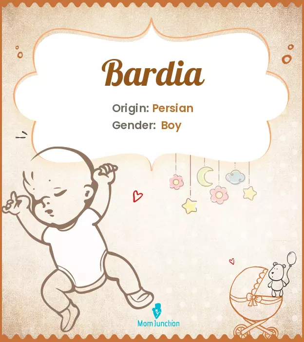 Origin, Meaning & Other Facts About Baby Name Bardia ...