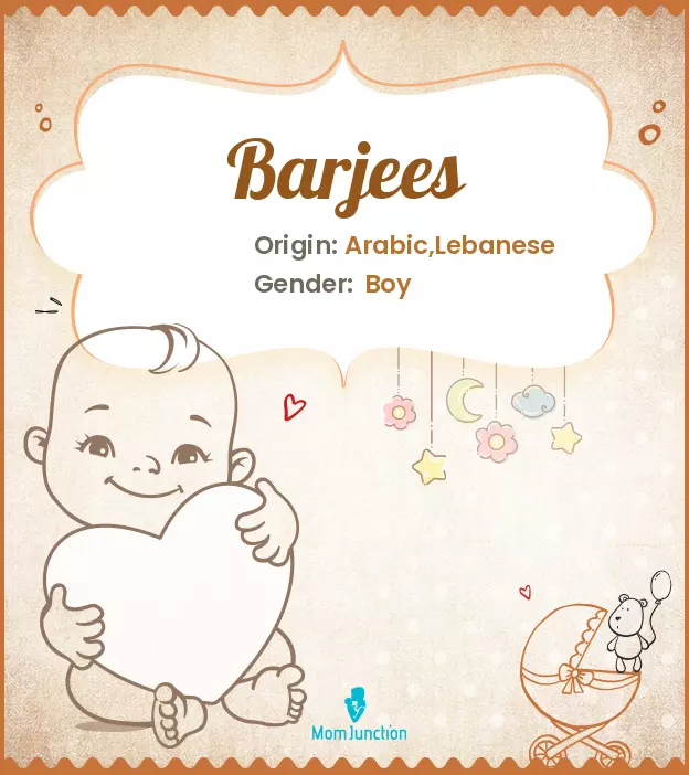 Origin, Meaning & Other Facts About Baby Name Barjees_image