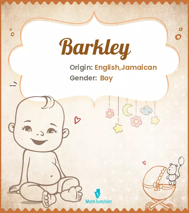 Origin, Meaning & Other Facts About Baby Name Barkley ...
