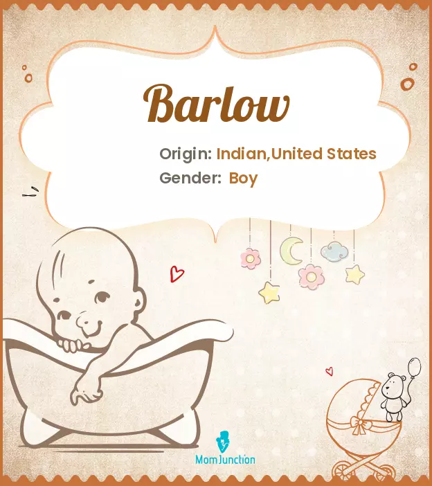 Origin, Meaning & Other Facts About Baby Name Barlow ...