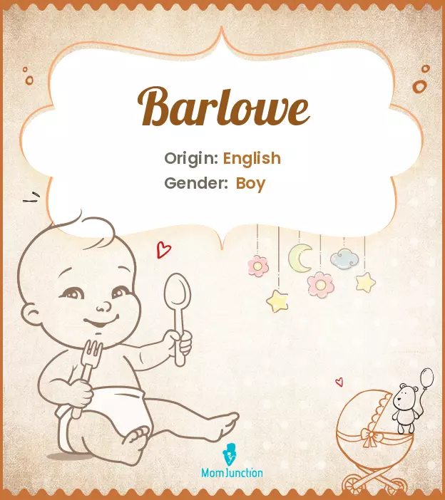 Origin, Meaning & Other Facts About Baby Name Barlowe ...