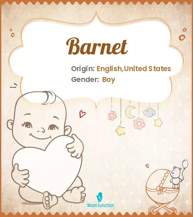 Origin, Meaning & Other Facts About Baby Name Barnet_image