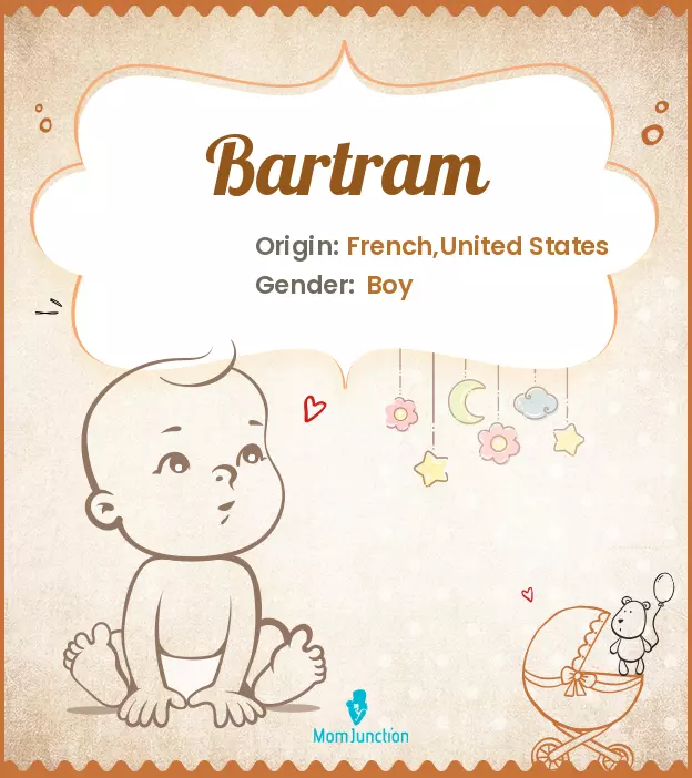 Origin, Meaning & Other Facts About Baby Name Bartram ...