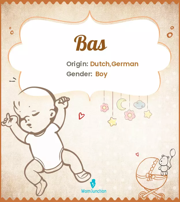 Origin, Meaning & Other Facts About Baby Name Bas | MomJunction
