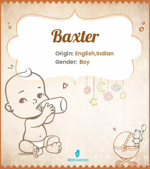 Origin, Meaning & Other Facts About Baby Name Baxter ...