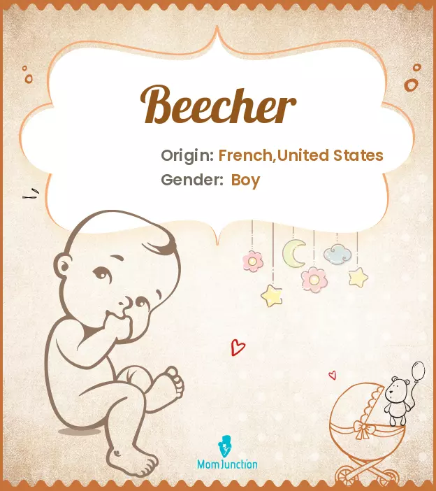 Origin, Meaning & Other Facts About Baby Name Beecher_image