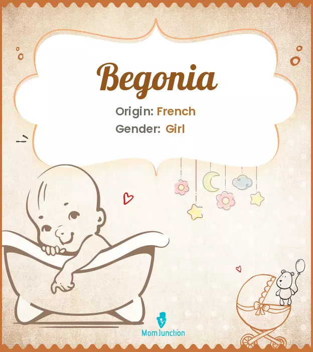 Origin, Meaning & Other Facts About Baby Name Begonia_image