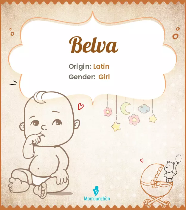 Origin, Meaning & Other Facts About Baby Name Belva_image