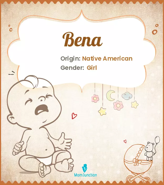 Origin, Meaning & Other Facts About Baby Name Bena_image