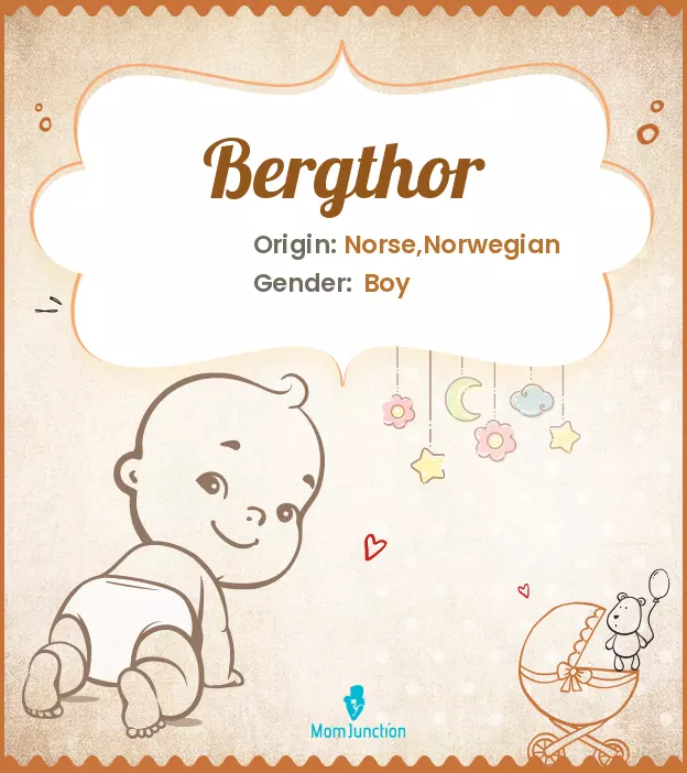 Bergthor_image