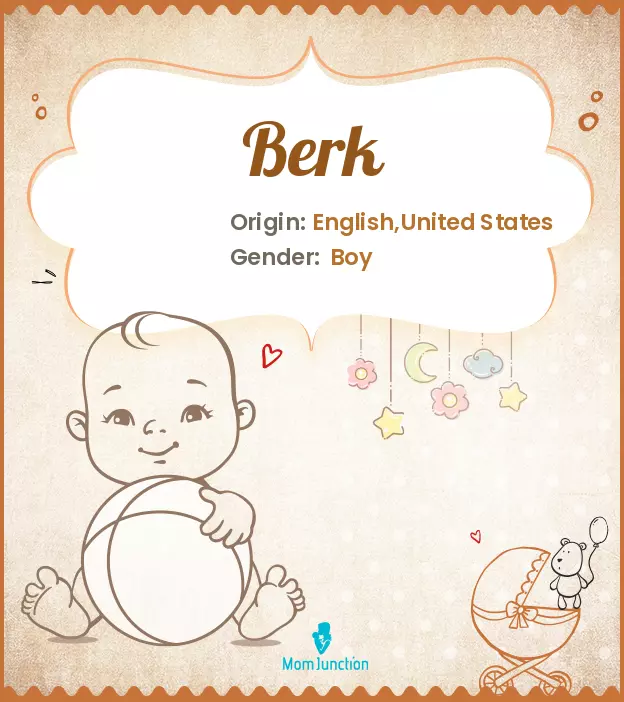 Origin, Meaning & Other Facts About Baby Name Berk_image