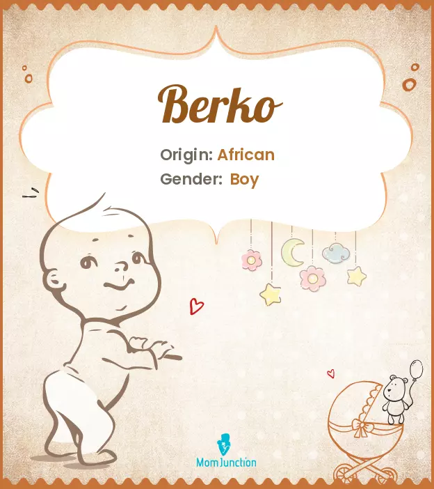 Origin, Meaning & Other Facts About Baby Name Berko_image