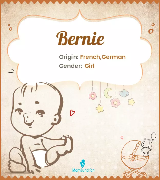 Origin, Meaning & Other Facts About Baby Name Bernie ...