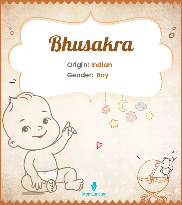 bhusakra_image