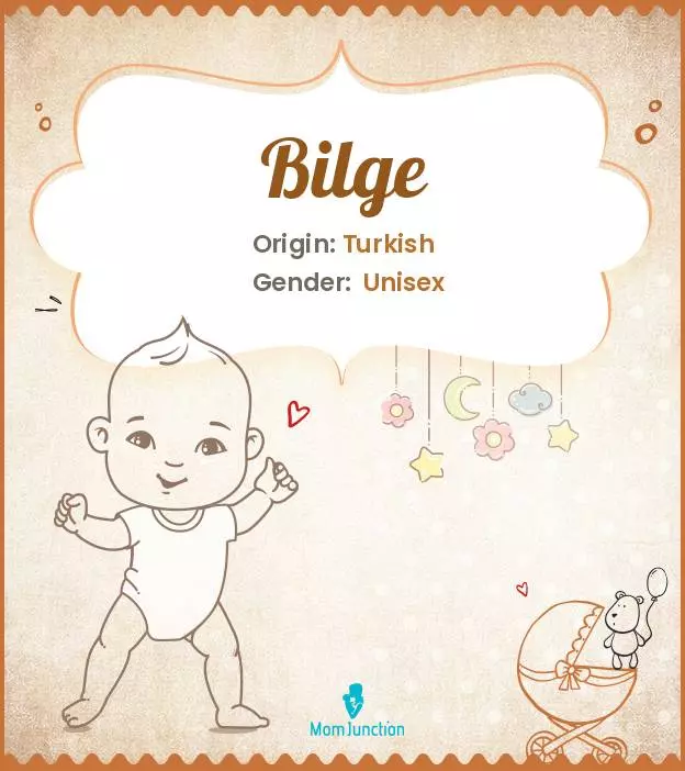 Origin, Meaning & Other Facts About Baby Name Bilge_image