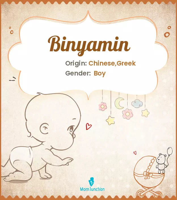 Binyamin: Name Meaning, Origin, History, And Popularity ...