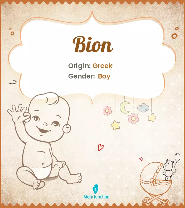 Origin, Meaning & Other Facts About Baby Name Bion | MomJunction