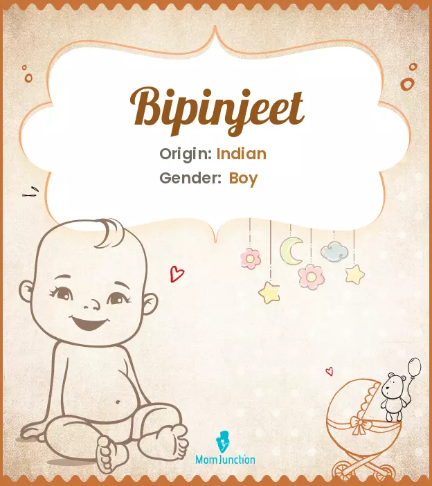 bipinjeet_image