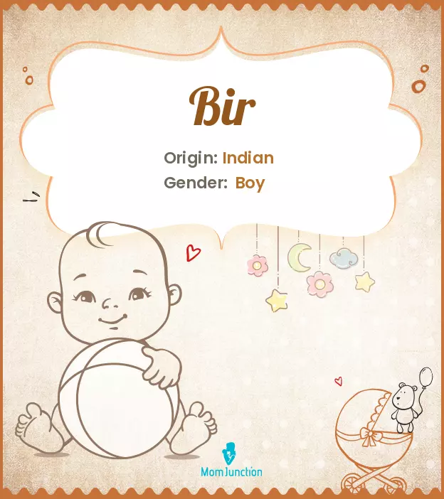 Origin, Meaning & Other Facts About Baby Name Bir_image