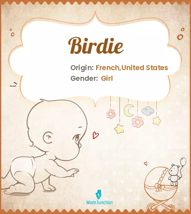 Birdie: Name Meaning, Origin, History, And Popularity_image