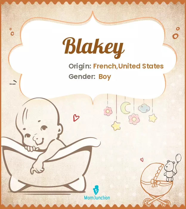 Origin, Meaning & Other Facts About Baby Name Blakey_image